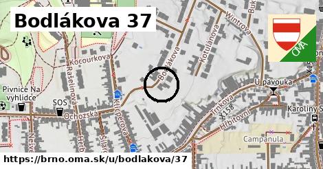 Bodlákova 37, Brno