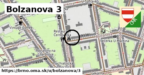 Bolzanova 3, Brno