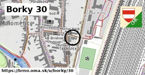 Borky 30, Brno