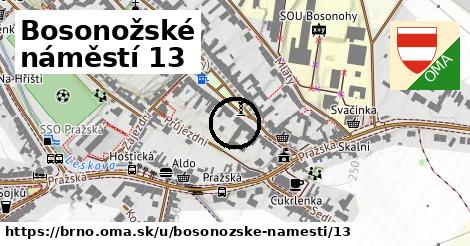Bosonožské náměstí 13, Brno