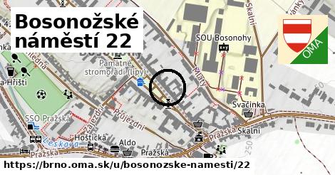 Bosonožské náměstí 22, Brno