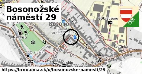 Bosonožské náměstí 29, Brno