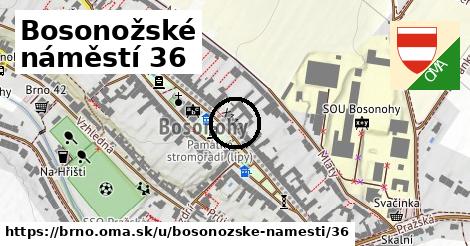 Bosonožské náměstí 36, Brno