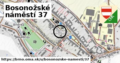 Bosonožské náměstí 37, Brno