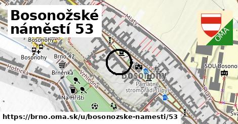 Bosonožské náměstí 53, Brno