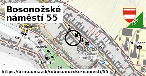 Bosonožské náměstí 55, Brno