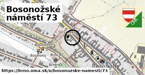 Bosonožské náměstí 73, Brno