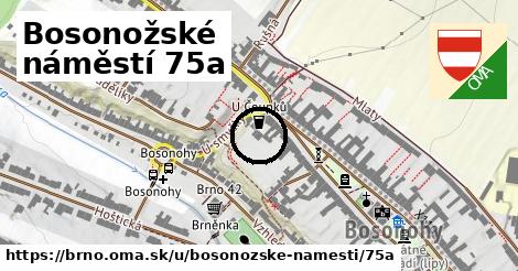 Bosonožské náměstí 75a, Brno