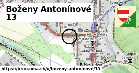 Boženy Antonínové 13, Brno