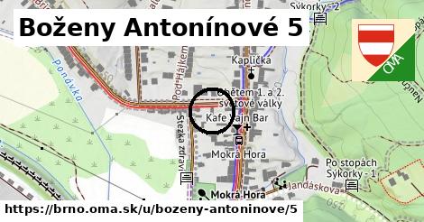 Boženy Antonínové 5, Brno