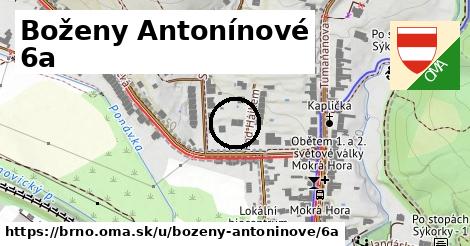 Boženy Antonínové 6a, Brno