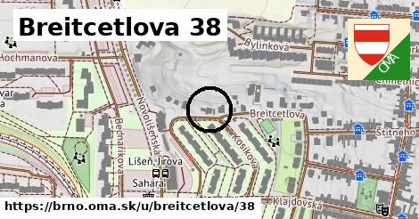 Breitcetlova 38, Brno