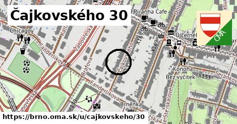 Čajkovského 30, Brno