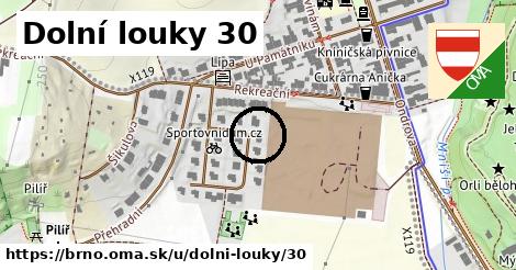 Dolní louky 30, Brno