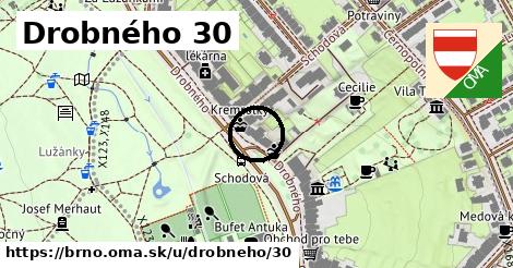 Drobného 30, Brno