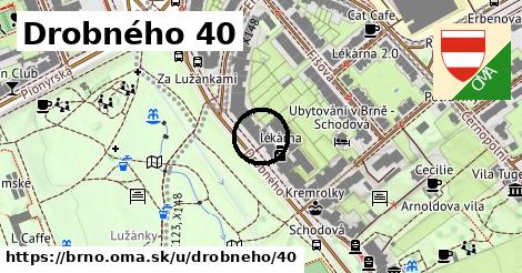 Drobného 40, Brno