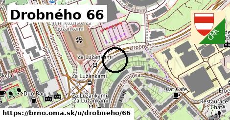 Drobného 66, Brno