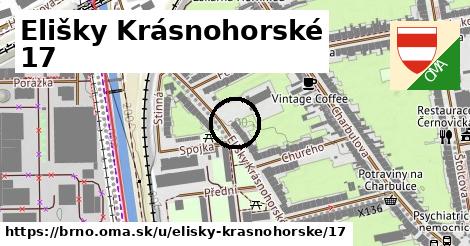 Elišky Krásnohorské 17, Brno