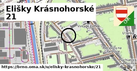 Elišky Krásnohorské 21, Brno