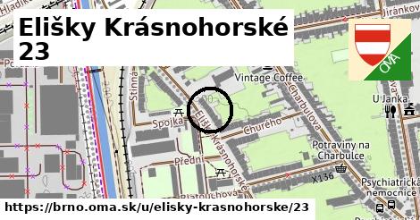 Elišky Krásnohorské 23, Brno