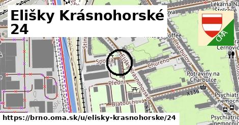 Elišky Krásnohorské 24, Brno