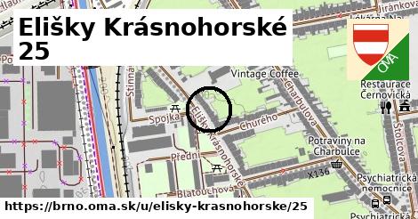 Elišky Krásnohorské 25, Brno