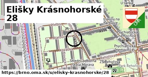 Elišky Krásnohorské 28, Brno