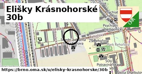 Elišky Krásnohorské 30b, Brno