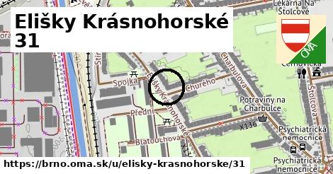 Elišky Krásnohorské 31, Brno