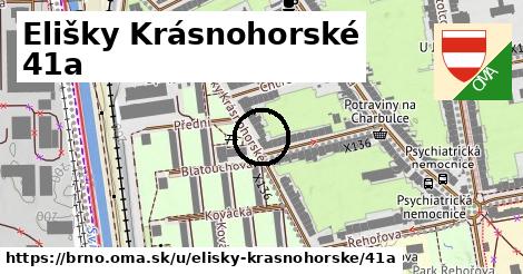 Elišky Krásnohorské 41a, Brno