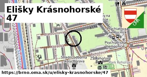 Elišky Krásnohorské 47, Brno