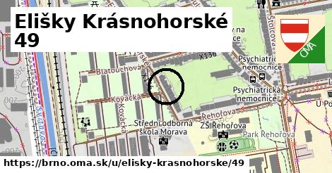 Elišky Krásnohorské 49, Brno