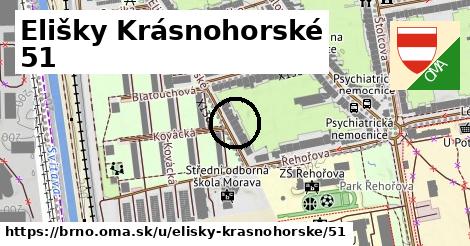 Elišky Krásnohorské 51, Brno