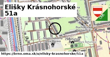 Elišky Krásnohorské 51a, Brno