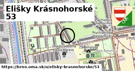 Elišky Krásnohorské 53, Brno