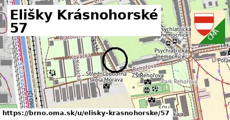 Elišky Krásnohorské 57, Brno