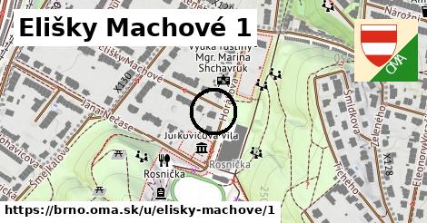 Elišky Machové 1, Brno
