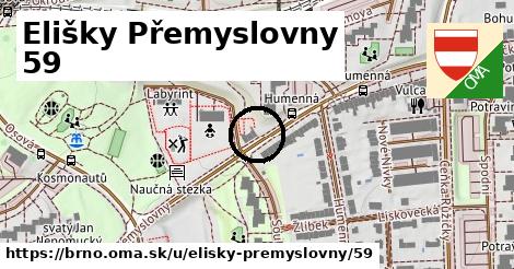 Elišky Přemyslovny 59, Brno