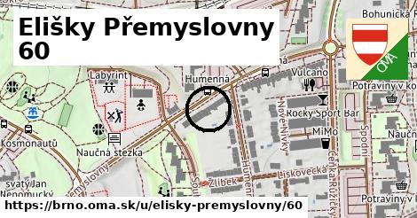 Elišky Přemyslovny 60, Brno