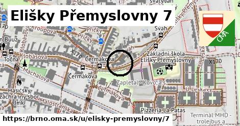 Elišky Přemyslovny 7, Brno