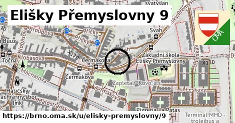 Elišky Přemyslovny 9, Brno