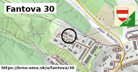 Fantova 30, Brno