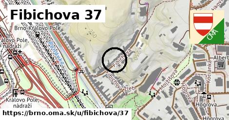 Fibichova 37, Brno