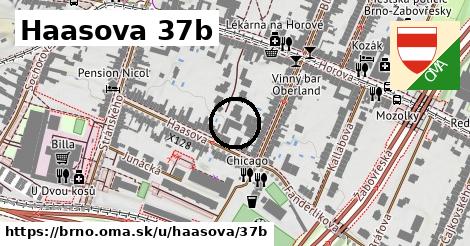 Haasova 37b, Brno