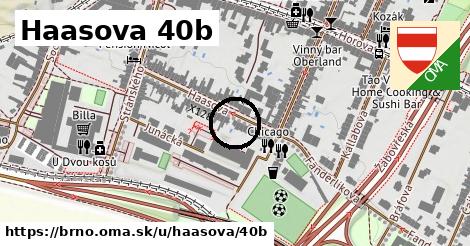 Haasova 40b, Brno