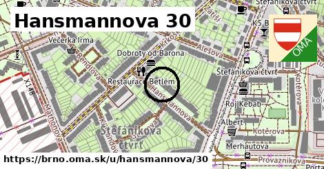 Hansmannova 30, Brno