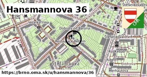 Hansmannova 36, Brno