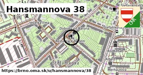 Hansmannova 38, Brno