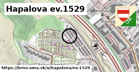 Hapalova ev.1529, Brno