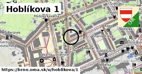 Hoblíkova 1, Brno